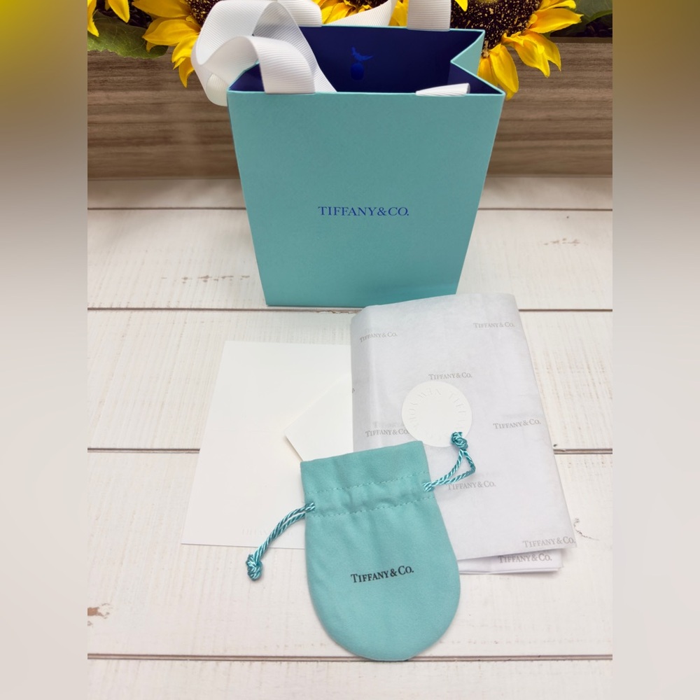 Tiffany & Co Jewelry Gift Bag